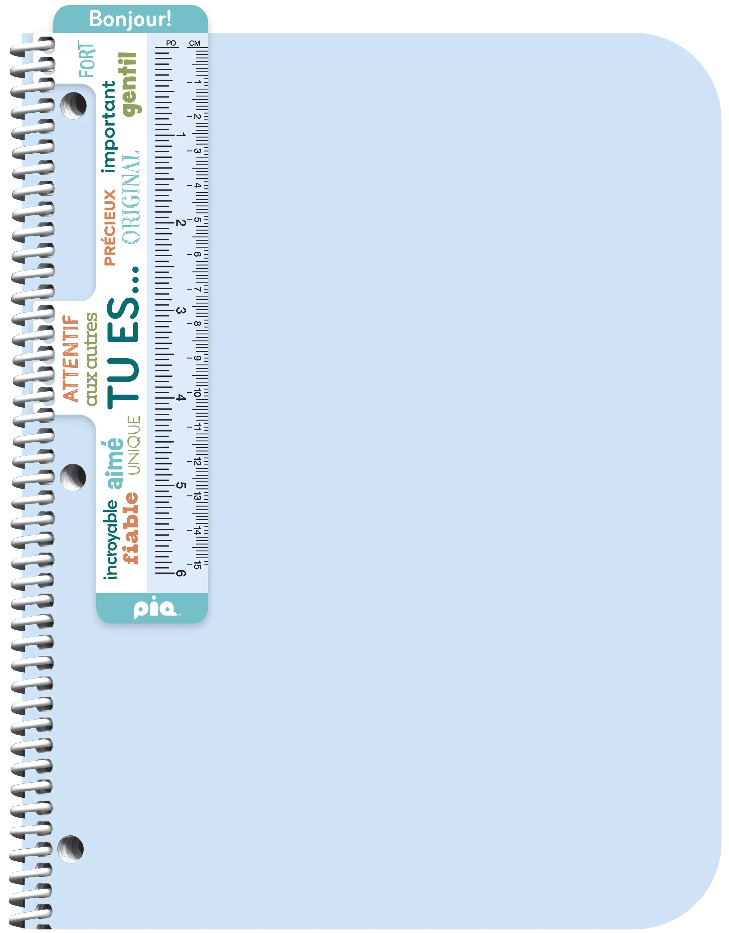 Signet Affirmation magnétique