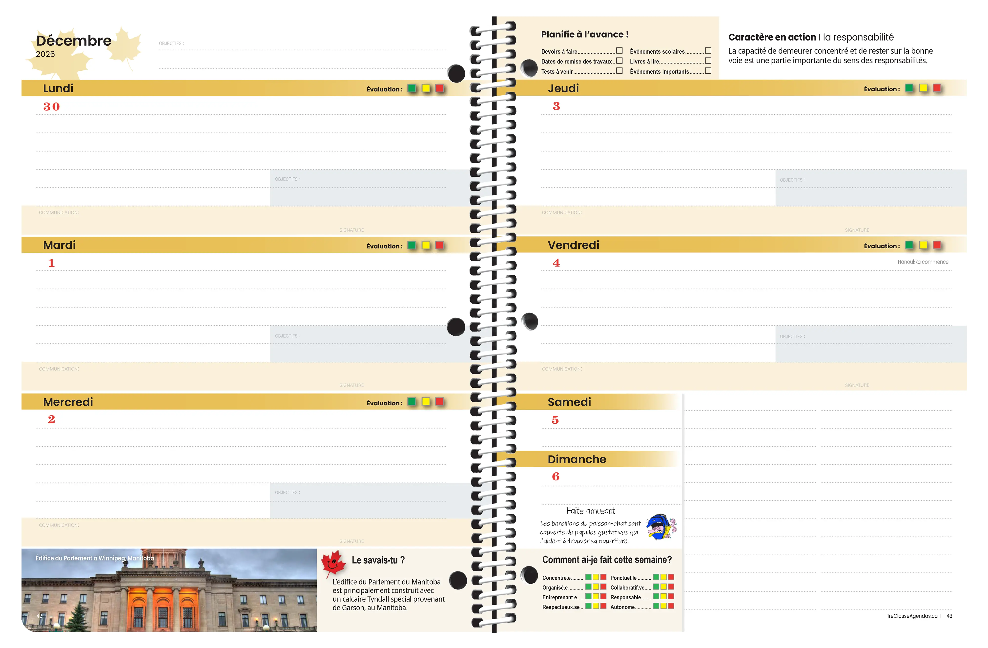 Le projet bien-être, primaire 3-6 (2026-2027)